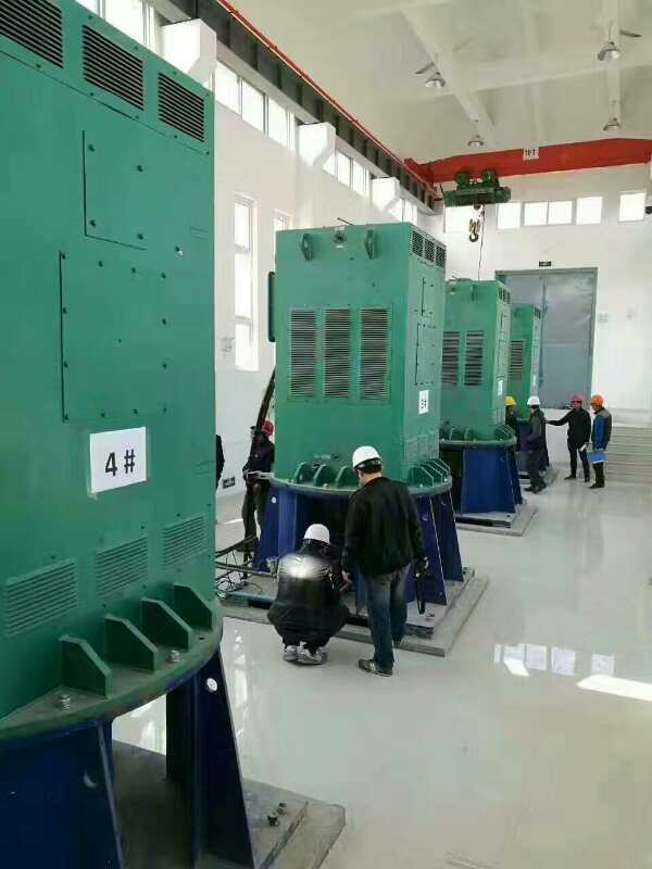 楚雄某污水处理厂使用我厂的立式高压电机安装现场