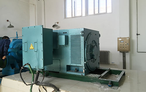 楚雄某水电站工程主水泵使用我公司高压电机